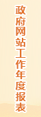 政府网站年度工作报表